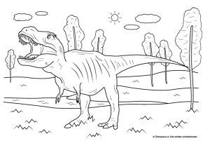 Een kleurplaat dinosaurus vinden kinderen natuurlijk helemaal te gek, kinderen zijn vaak dol op dino's. dinosaurus-kleurplaat-tyrannosaurus-rex - Dinosaurus.nl