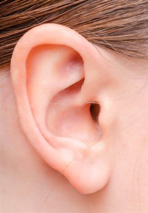 8 Interesting Facts About Human Ears