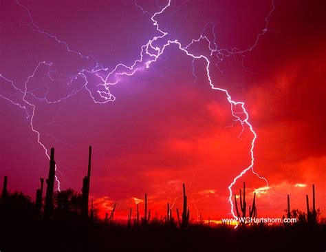 Lightning Saguaros Hi Look Online
