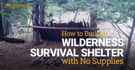 How To Build A Wilderness Survival Shelter With No Supplies