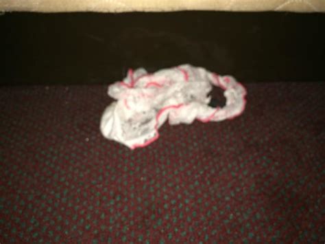 Dirty Panties Under The Bed Picture Of Days Inn Raleigh South