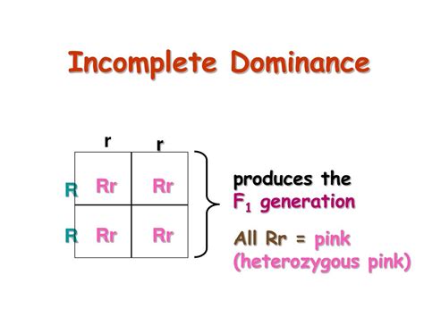 Ppt Non Mendelian Patterns Of Inheritance Incomplete Dominance Codominance And Sex Linked