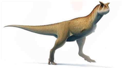 Descubren En Argentina Una Nueva Especie De Dinosaurio Con Brazos Muy Cortos Infobae