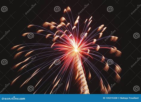 Beautiful Single Firework Stock Photo Image Of Blue 135215338