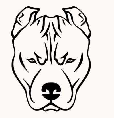 Aprende Cómo Dibujar Un Perro Pitbull Paso A Paso 8 Dog face drawing
