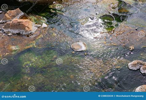 Close Up Shot Of Clear And Clean Water Flow Stream In Natural Hot