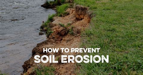How To Prevent Soil Erosion