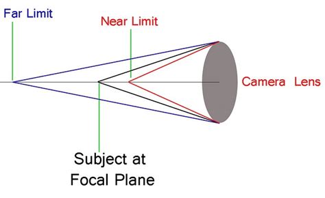 Depth Of Field Explained Depth Of Field Explained Beginners Guide