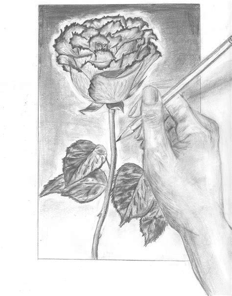 How to turn your photo into a sketch. person drawing rose - picture by snoopsoup | DrawingNow