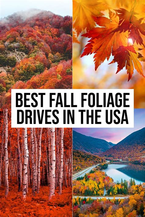 Spectacular Drives In The Usa To See Fall Foliage Eatlivetraveldrink