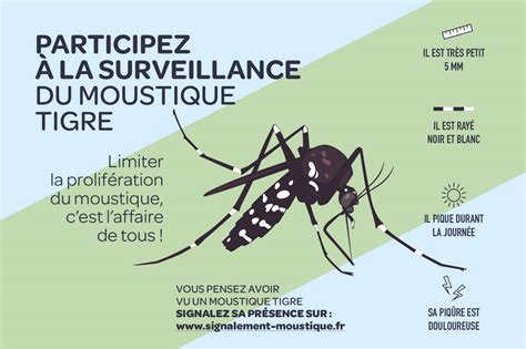 Auvergne Rhône Alpes Nos Conseils Pour Lutter Contre Le Moustique Tigre