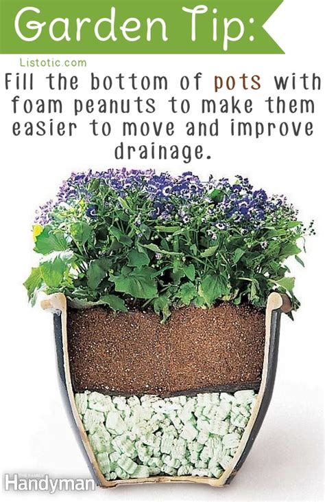25 Brilliant Gardening Tips And Tricks • Page 25 Of 26 • Picky Stitch