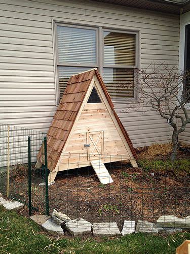 Cedar wood duck house plan actual size wood duck & hooded merganser. 37 Free DIY Duck House / Coop Plans & Ideas that You Can ...