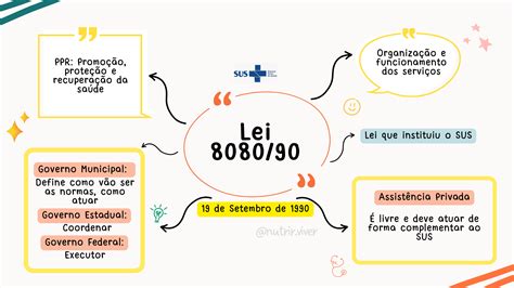 Mapa Mental Lei 8080/90