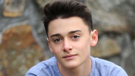 ¿Por qué están cancelando a Noah Schnapp de "Stranger ...