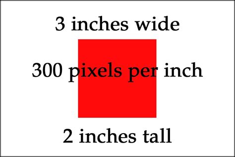 Detail Ukuran Foto Pixel Koleksi Nomer