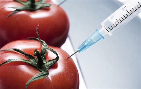 Sciplanet Genetically Modified Food Pros And Cons