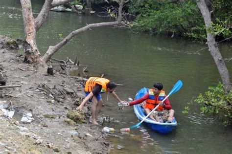 Mangrove Terancam Sampah Dan Alih Fungsi