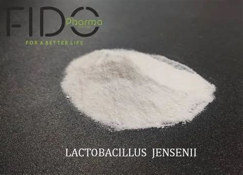 Lactobacillus Jensenii At Rs 800kg Panchkula Id 22807328591