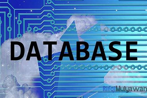 Pengertian Database: Fungsi dan Macam-Macam Database Lengkap!