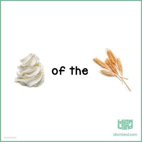 Something that is better than all the other somethings. Idiom of the day: Cream of the crop. #idiom #idioms # ...