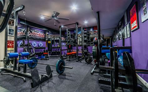 Pics And Discussion Of Your Home Gym Page 232