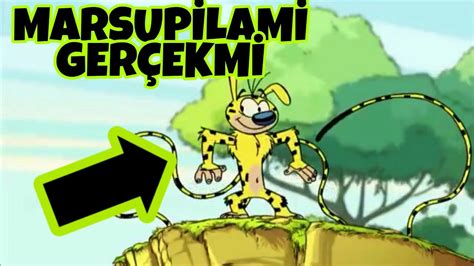 Believer of science, not religion. MARSUPİLAMİ GERÇEK Mİ | ANALIZ - YouTube