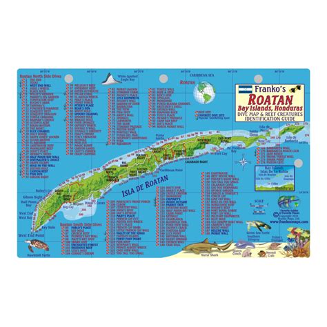 Roatan Dive Map And Fish Id — Coral Key Scuba And Travel Denver