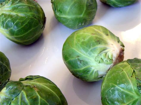 Can dogs eat brussel sprout stalks? Work. Play. Eat. Dream...: Eat: Brussels Sprouts even my ...