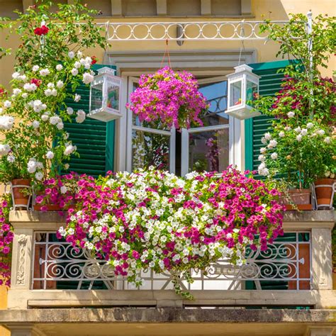 Best Balcony Garden Design Ideas for 2020 | Design Cafe