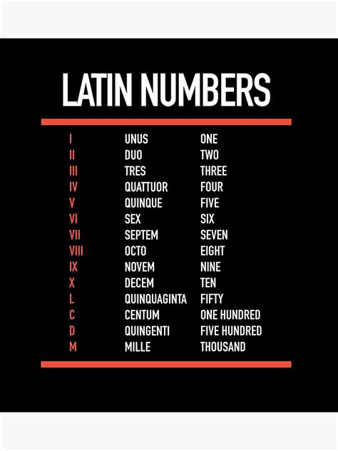 Lámina Fotográfica Números Latinos Números En Latín Números