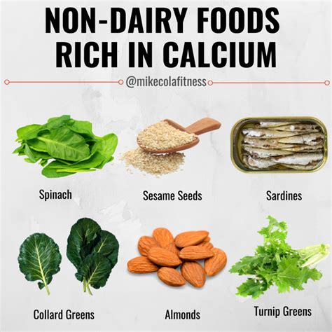six non dairy foods rich in calcium mike cola fitness