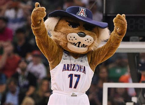 Ncaa Tournaments Sweet 16 Mascots Ranked Bruins And Badgers And Bears