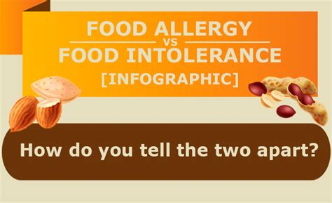 Infographic Food Allergy Vs Food Intolerance