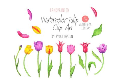 Watercolor Tulip Flower Clip Art Custom Designed Illustrations