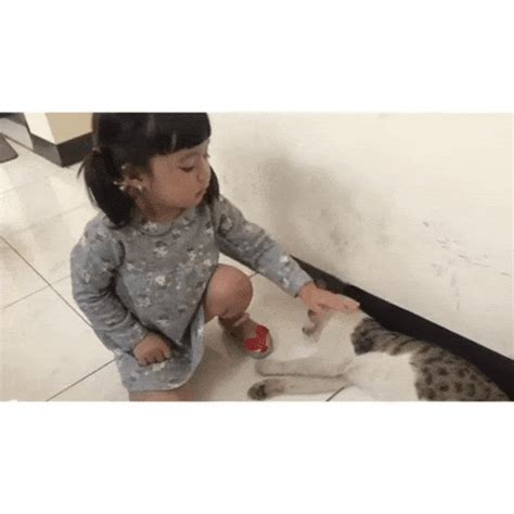 Kucing adalah salah satu hewan sedangkan menurut mitosnya mimpi kucing masuk rumah merupakan mimpi yang berbahaya mimpi memandang kucing kawin adalah suatu mimpi bahwa pertanda anda akan terjadi hajatan. Momen Lucu Gempi Marten Bermain dengan Kucing Berubah Jadi ...