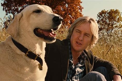 The Greatest Dog Movies Of All Time Cuteness