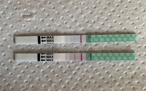 Faint Line Pregnancy Test Pregnancy Test Progression Lines Natalist