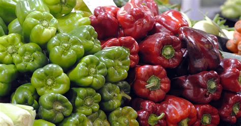 On top of that, passengers can easily check bus schedule and compare prices online so they can plan their trip in advance. Adelaide Central Market, Adelaide - Tickets ...