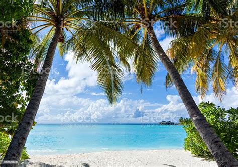 Tropical Island Paradise Stock Photo Download Image Now Istock