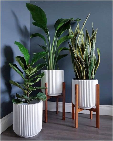 20 Popular Indoor Plant Decor For Your Dream Room 19 Reska Plant