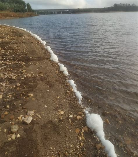 We did not find results for: Poluição na Barragem da Aguieira denunciada pelo Bloco de ...