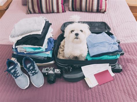 Sacramento Hotels | Holiday Inn Sacramento Downtown-Arena