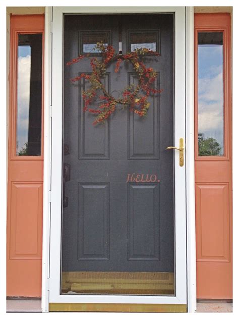 Front view of the top entry cabinet. Front door | Front door, Tall cabinet storage, Doors