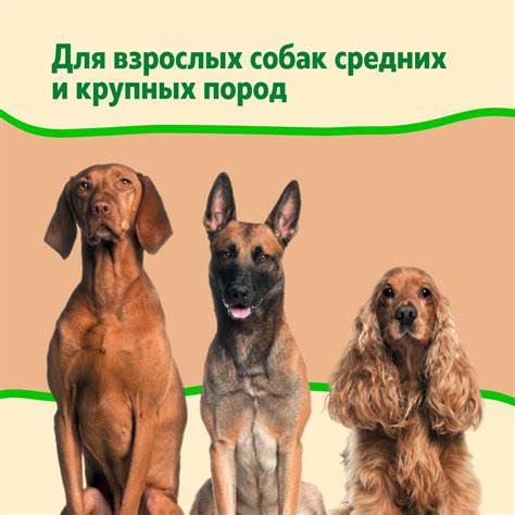 Диета королевой моно Сухой беззерновой корм для собак супер-премиум-класса РосПёс, Моно Сухой беззерновой корм для собак супер-премиум-класса РосПёс, Моно Диета королевой моно