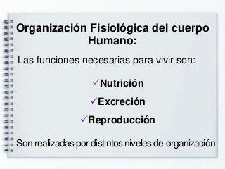 La amigdalitis o anginas es la inflamación de una amígdala palatina o ambas terminologia medica. Terminologia Medica en 2020 (con imágenes) | Terminología ...