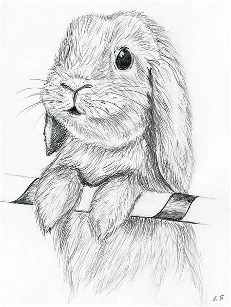 How to draw a realistic rabbit. Curious Rabbit by Sergey Lukaskin, rabbit, bunny, drawing ...