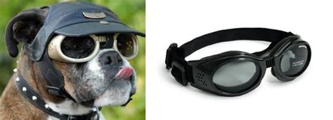 Doggles The Perfect Bike Goggles For Your Dog Gear