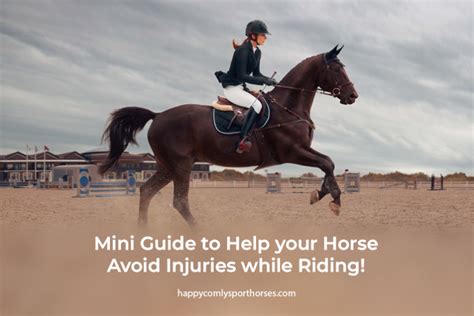 Mini Guide To Help Your Horse Avoid Injuries While Riding