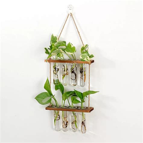 Buy Budde Wall Hanging Planter 2 Tiered Plant Propagation Stations
